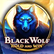 Blackjack trực tiếp