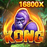 Video Slot (5 Cuộn)